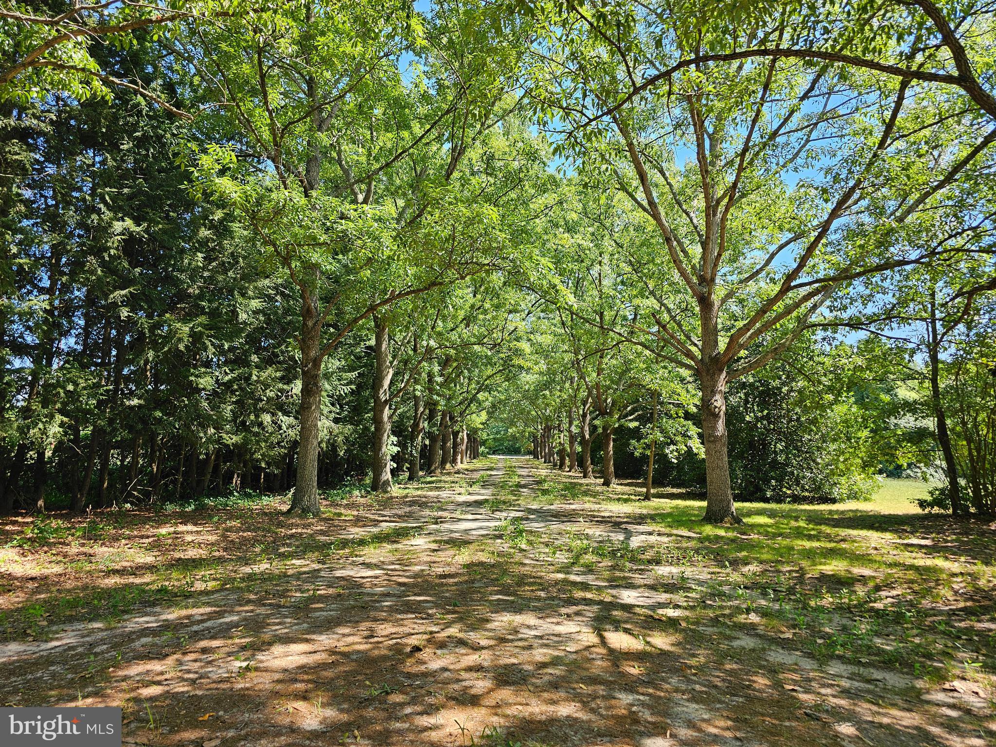 27980 PEMBERTON
