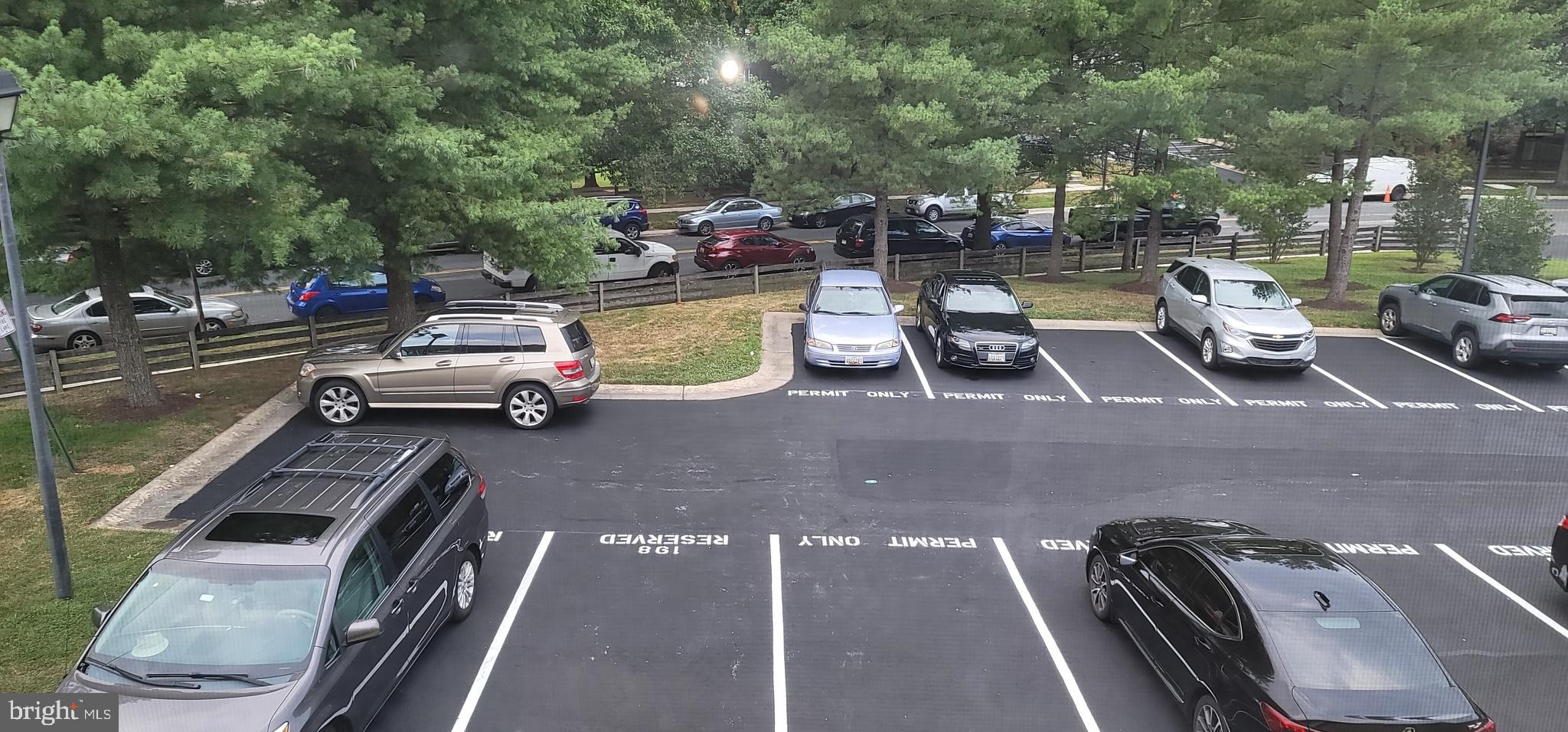 SADDLE CREEK - Residential Lease