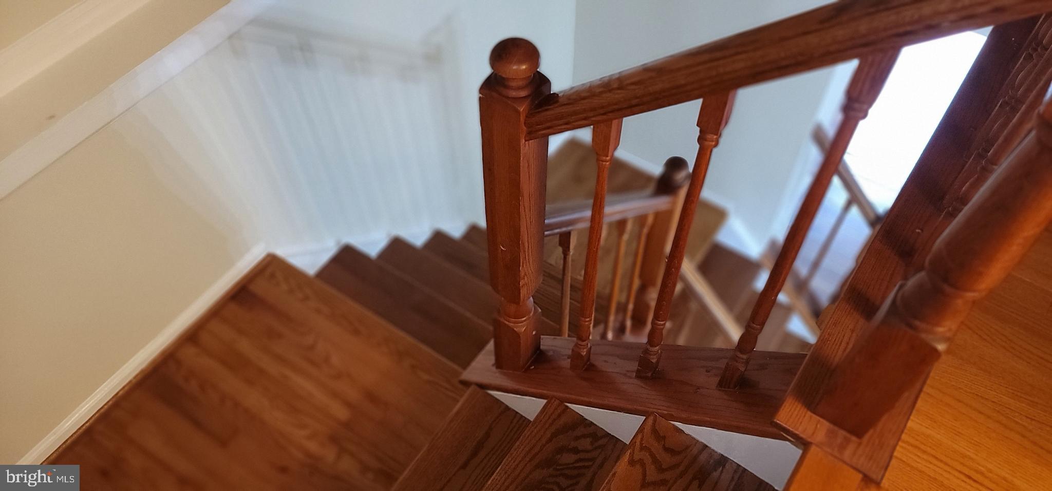 SADDLE CREEK - Residential Lease