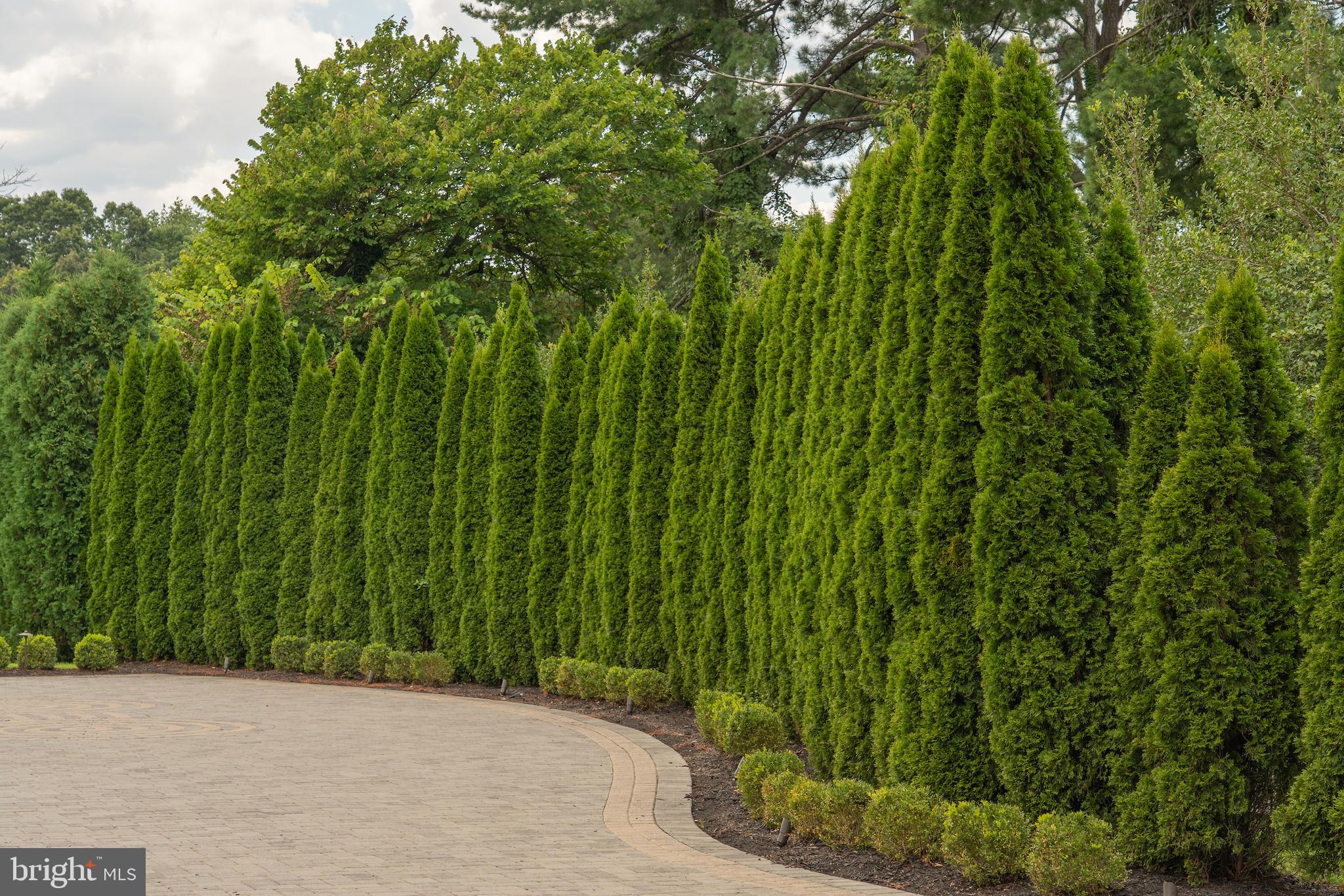 BALLANTRAE FARMS - Residential