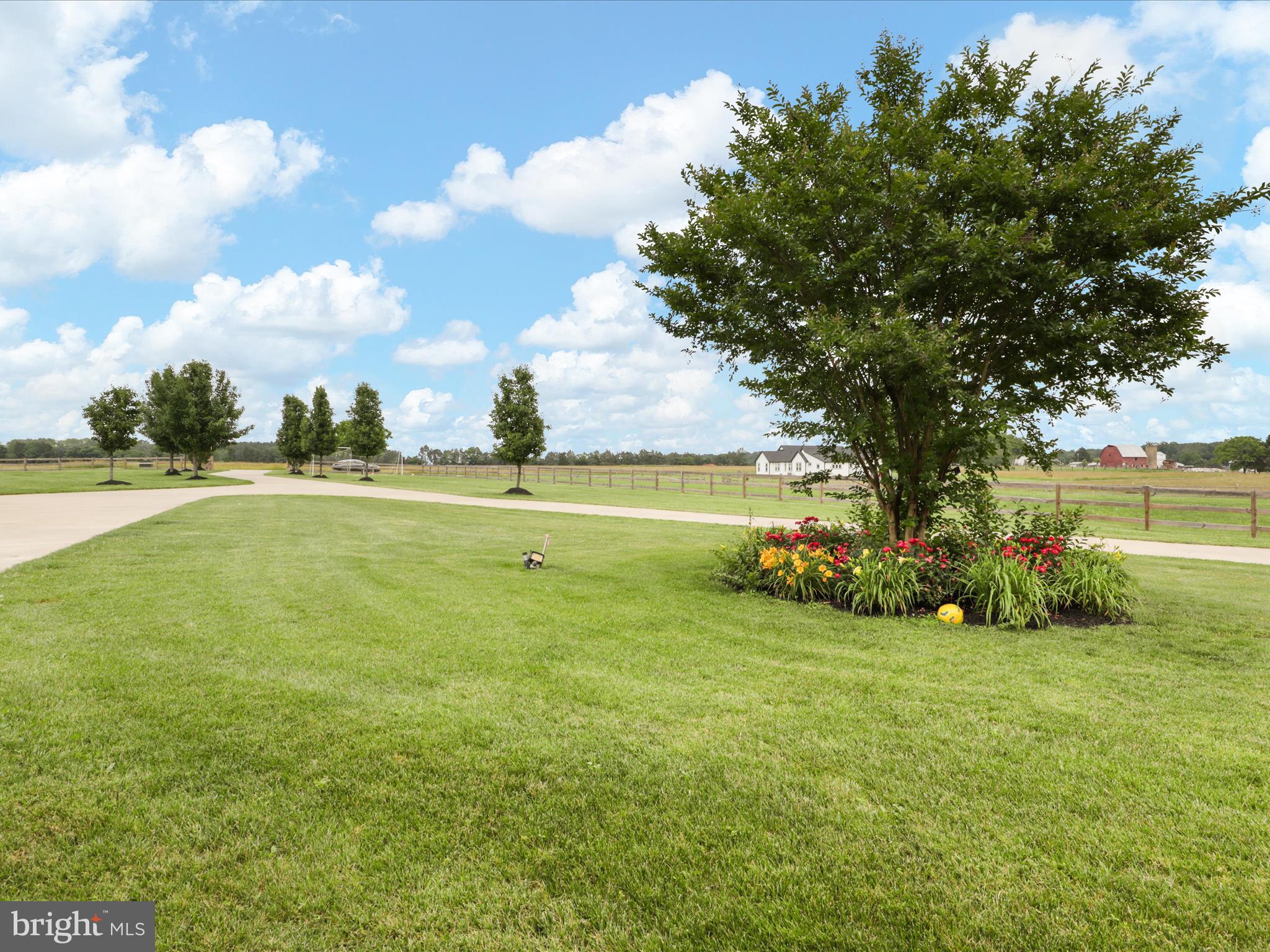 MASSADALE - Residential