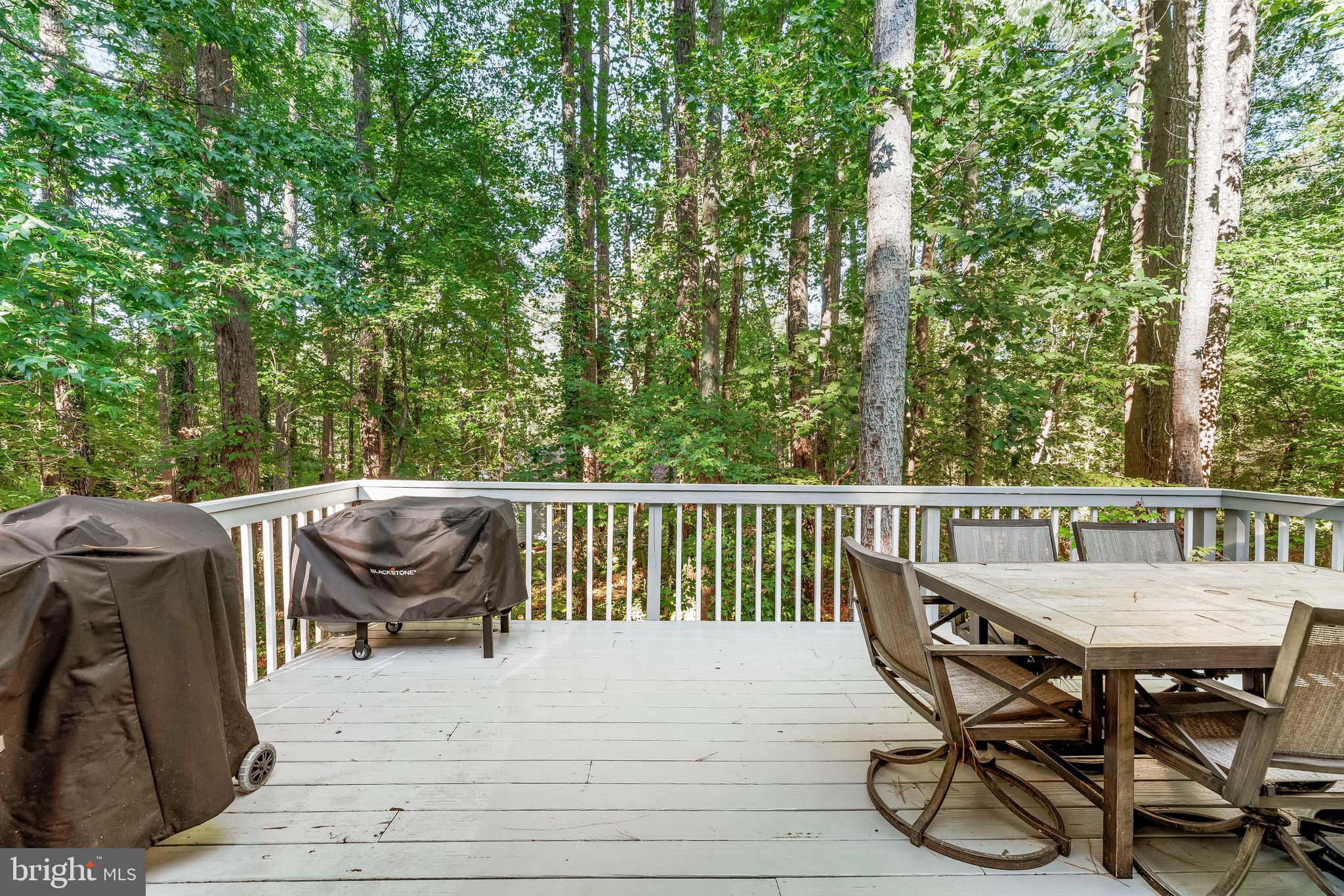 CHESAPEAKE RANCH ESTATES - Residential