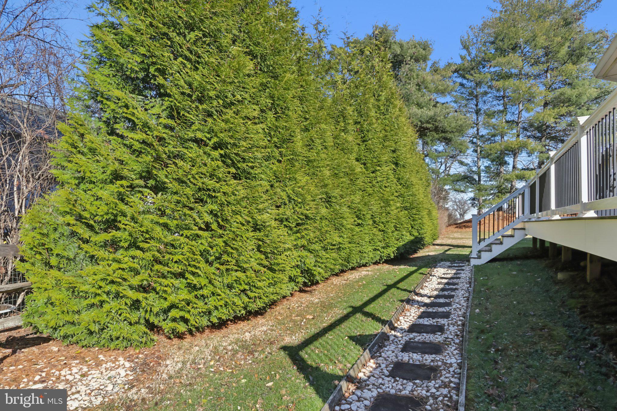 MAPLE GLEN - Residential