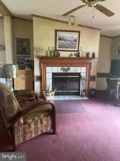 CEDARVILLE MOBILE HOME PARK - Residential