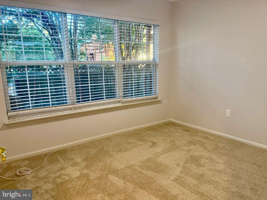 AUTUMN CHASE HUNT - Residential