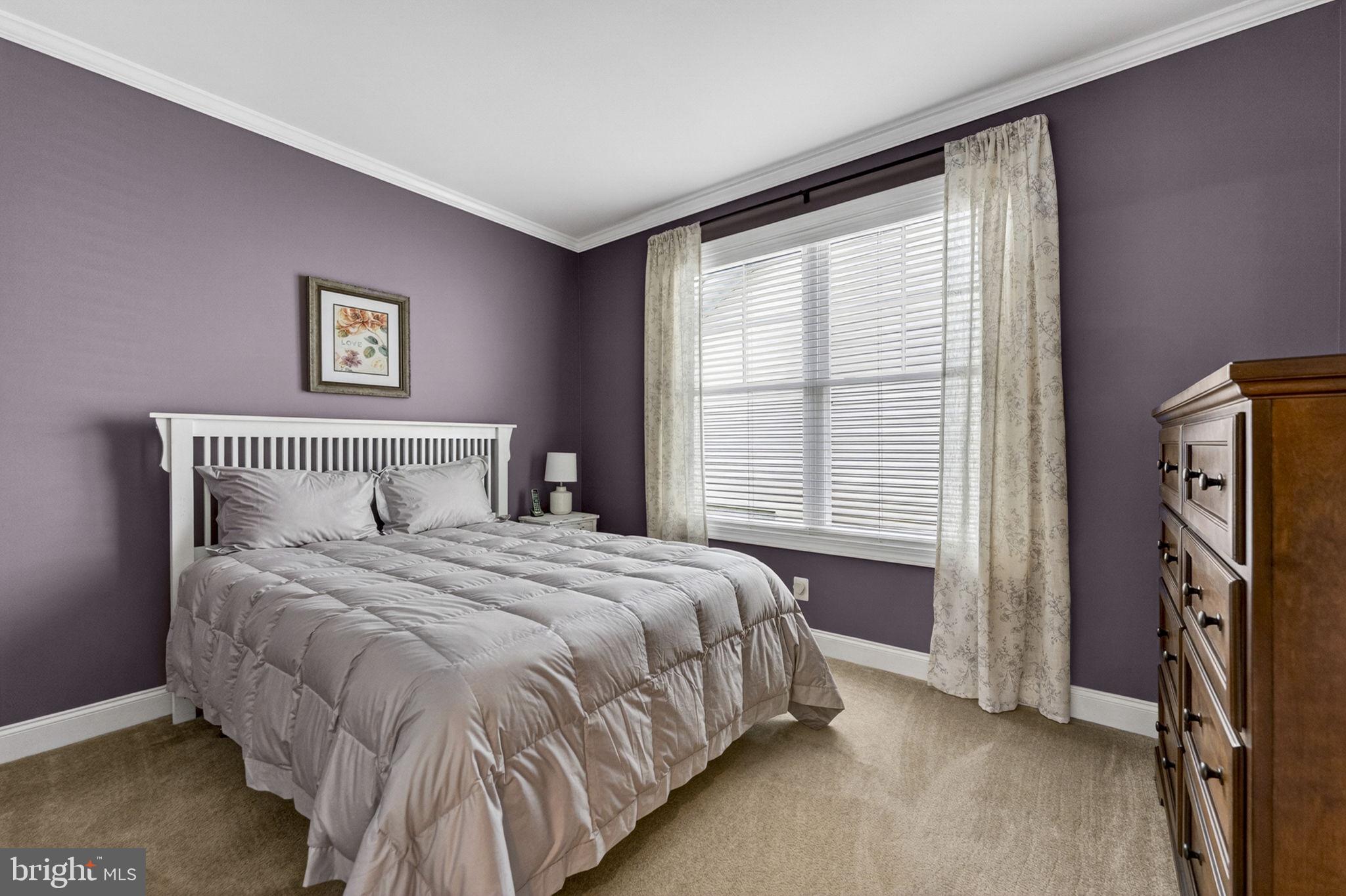 SHENANDOAH - Residential