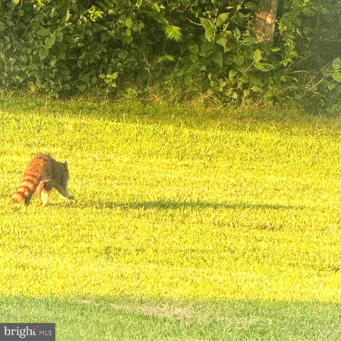 STRATFORD HARBOUR - Residential