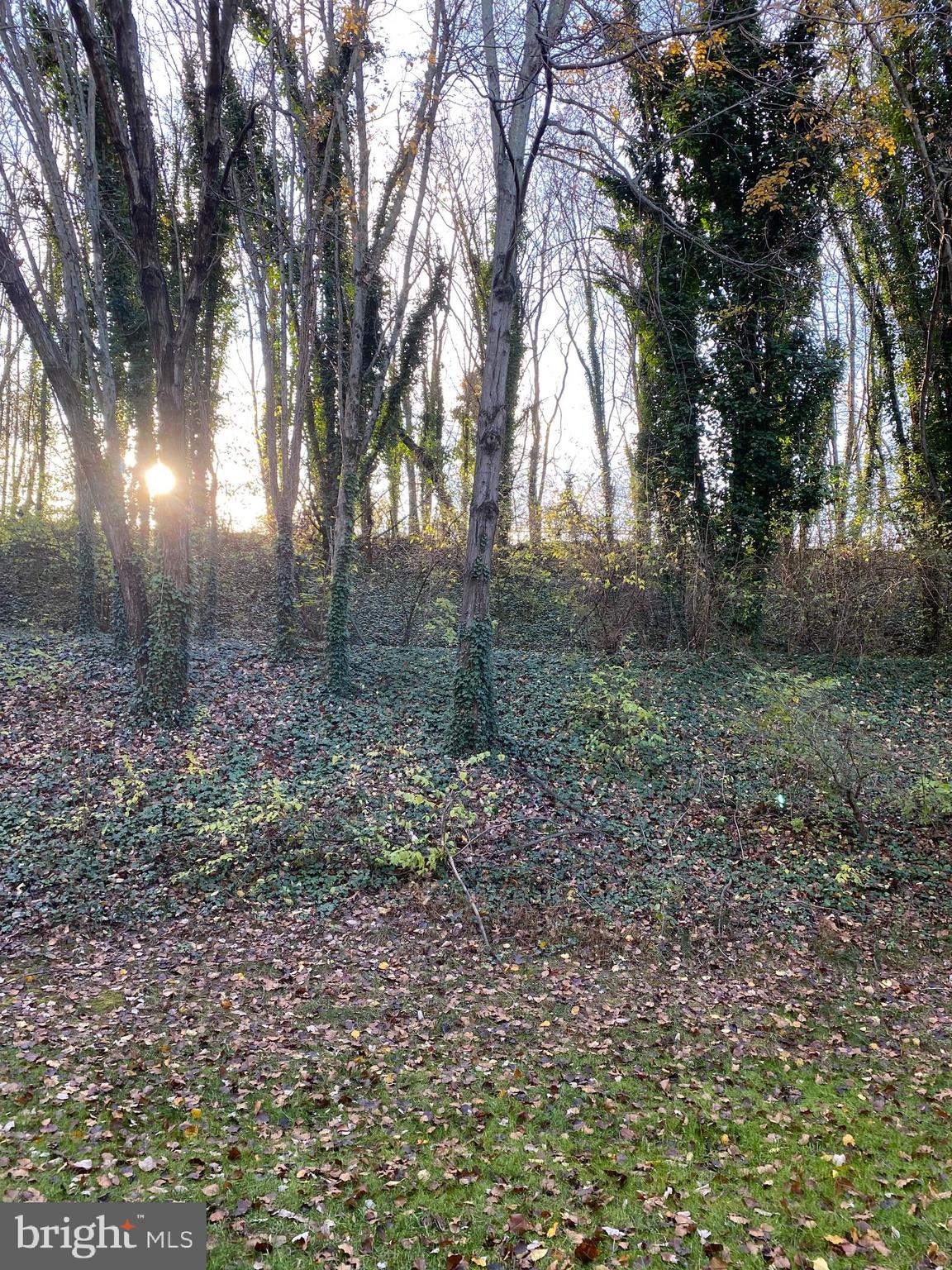 PENDERBROOK SQUARE CONDOMINIUMS - Residential Lease