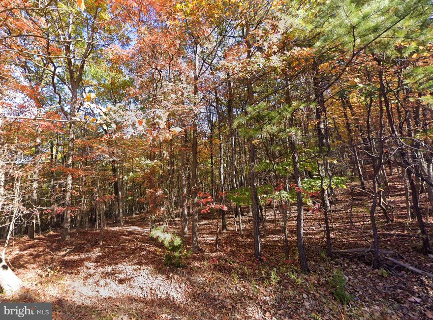 Nestled in the highly desirable community of Apple Mountain West, this breathtaking 3.06-acre lot awaits 
your vision! Combining seclusion with beautiful views and easy access to local amenities, it presents an 
excellent opportunity for building your new residence. Minutes away from the George Washington National 
Forest and I-66, you can savor a serene environment without sacrificing convenience. Whether you’re 
constructing your dream home or a retreat to unwind, this property could be exactly what you need! 
Restrictions are in place to safeguard your investment. Electricity is available at the street – installation of 
well and septic is needed. High-speed internet is also accessible. Don’t miss out on this fantastic 
investment opportunity! 15-minutes to the town of Front Royal. 
This area offers endless opportunities: enjoy tubing on the Shenandoah River, soaking up the picturesque 
Skyline Drive scenery, hiking trails leading to stunning overlooks in Shenandoah National Park, or 
exploring nearby attractions like Luray Caverns. Golf lovers can enjoy their favorite local courses while 
fishing enthusiasts can spend relaxing days on the water. This area truly captivates with its natural beauty