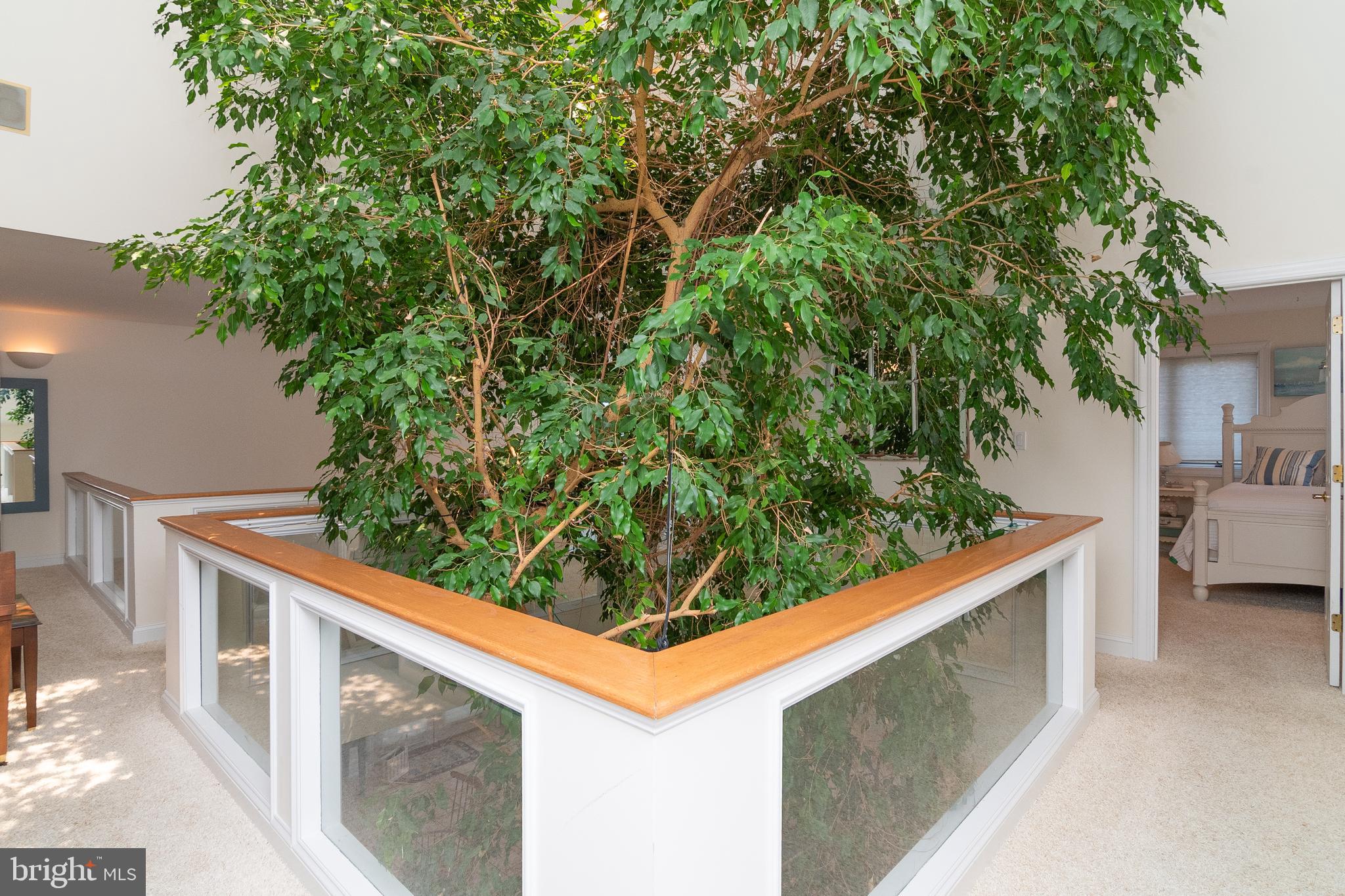 NANTUCKET POINT - Residential