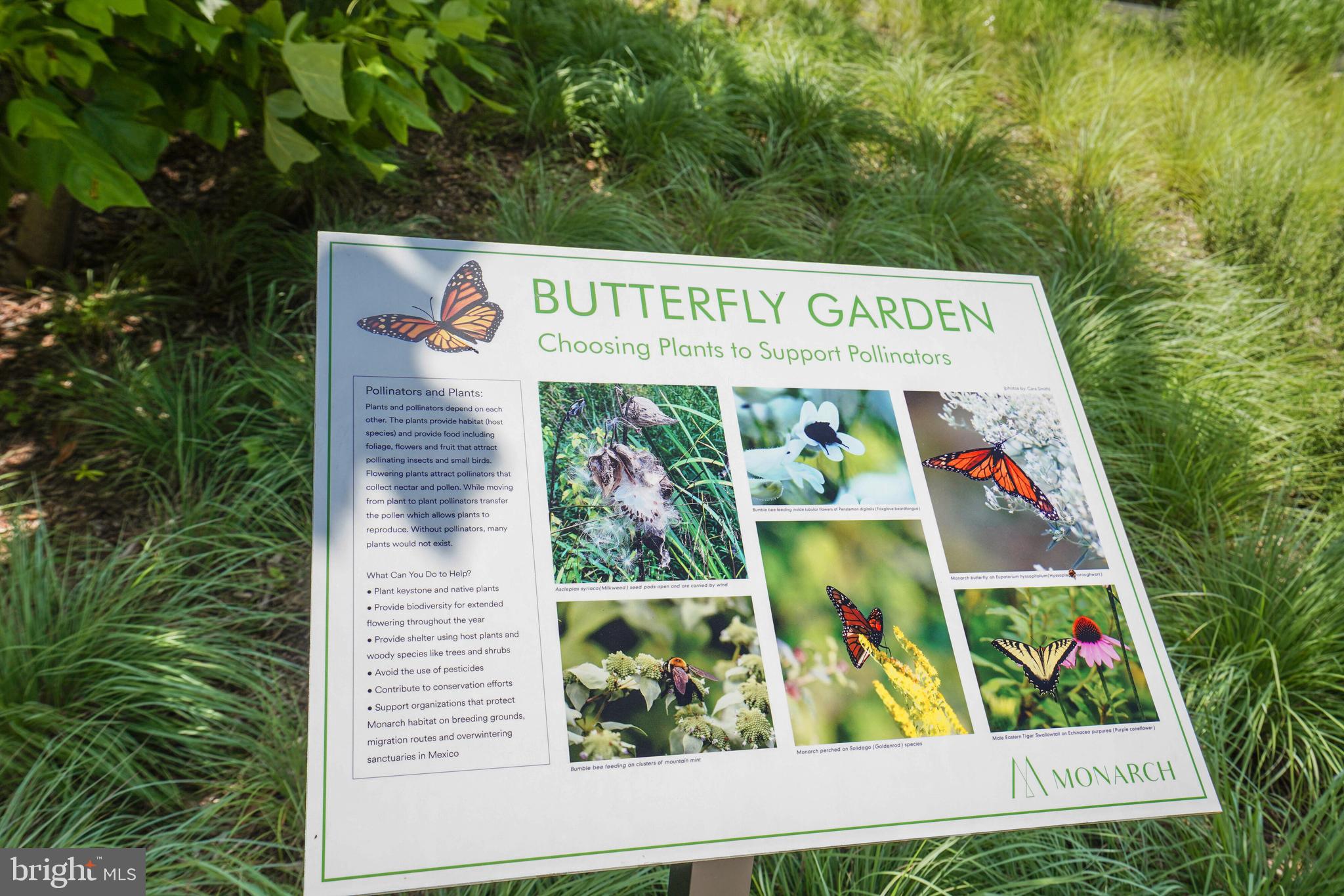 TYSONS CORNER - Residential