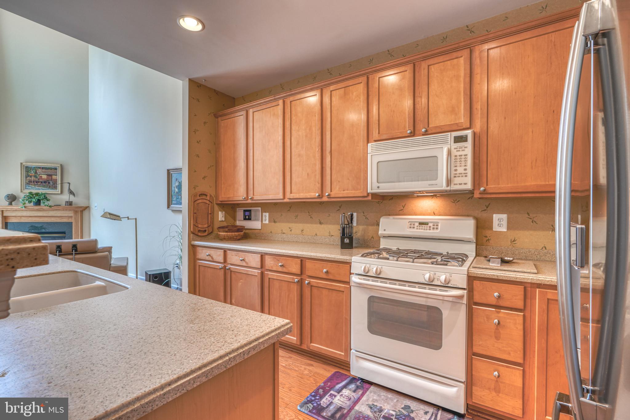 VILLAS AT SNOWDEN OVERLOOK - Residential