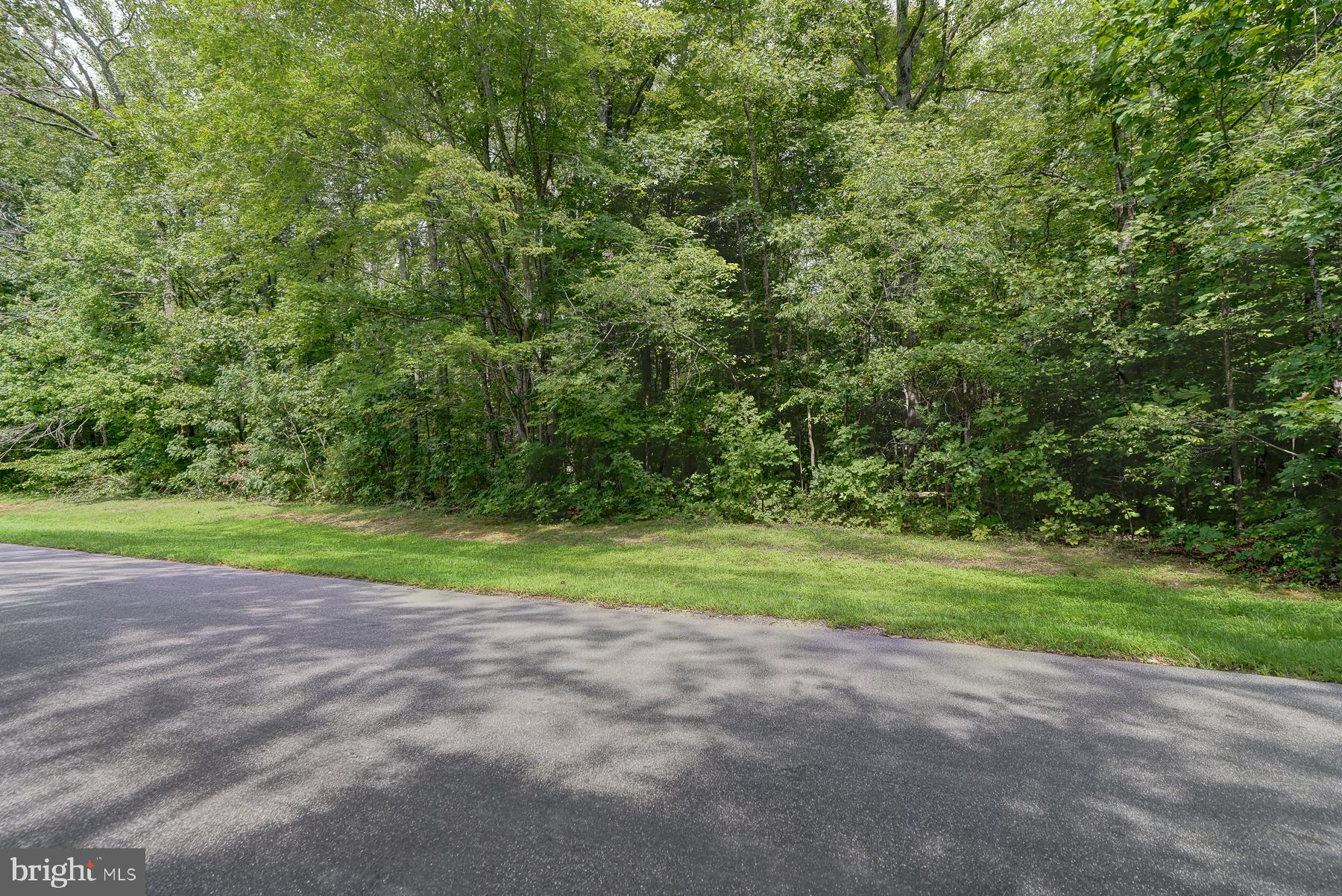 15308 DRUMMERS LANE