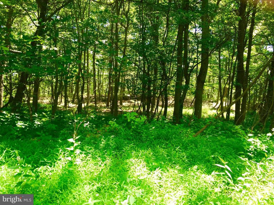 Perfect lot for your dream home or vacation getaway! 4.5 acres with gorgeous mountain views. Enjoy the quiet living close to the quaint town of Capon Bridge WV. Just 25 minutes to downtown Old Town Winchester Va. This lot is a must see!