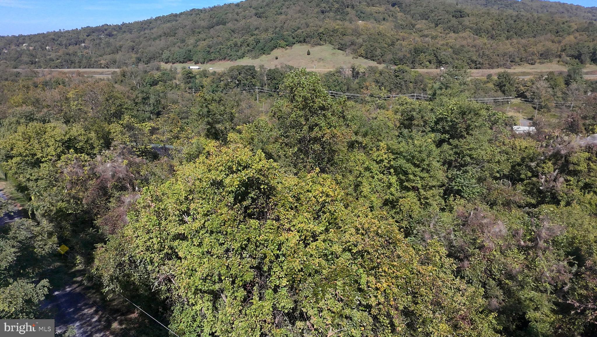 APPLE MT LAKE SOUTH - Land