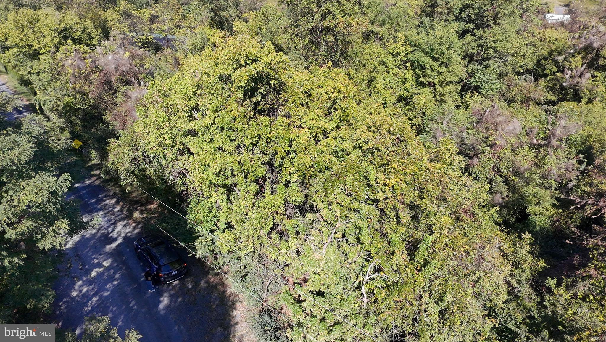 APPLE MT LAKE SOUTH - Land