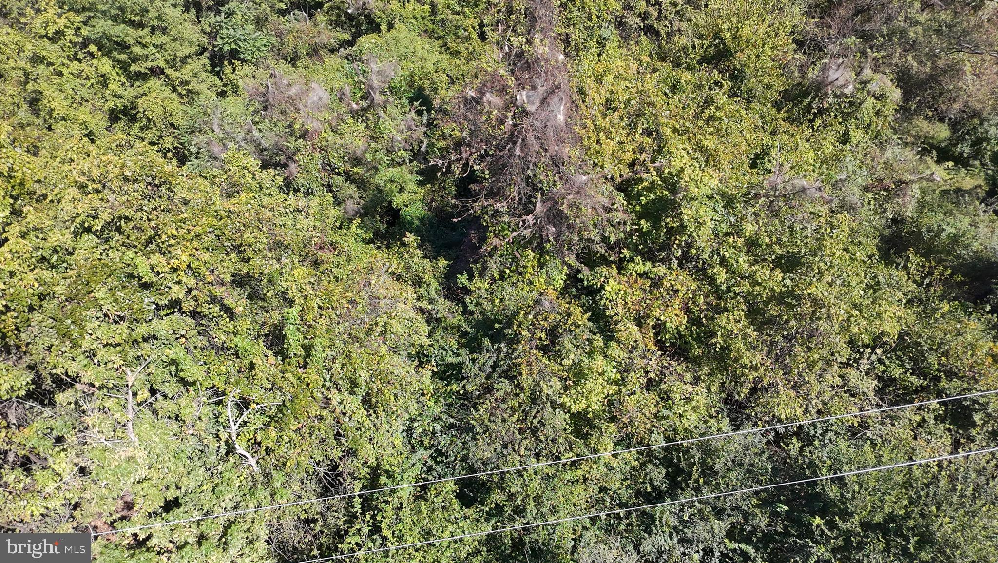 APPLE MT LAKE SOUTH - Land