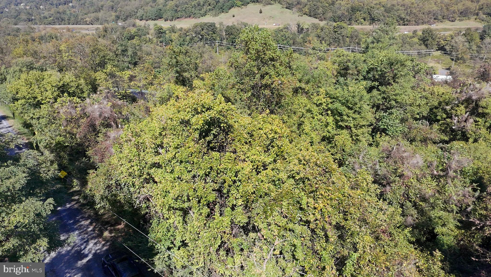 APPLE MT LAKE SOUTH - Land