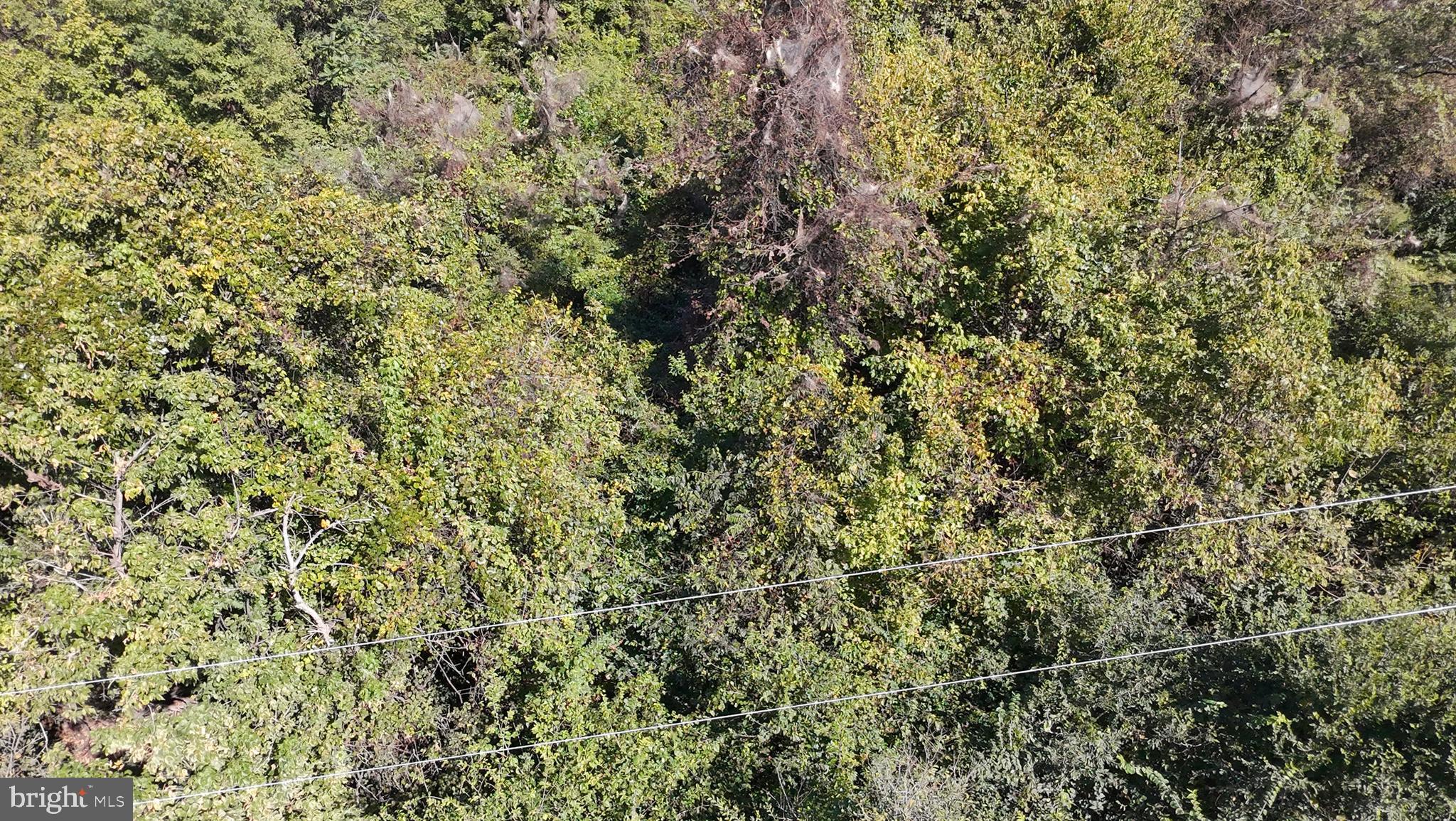 APPLE MT LAKE SOUTH - Land