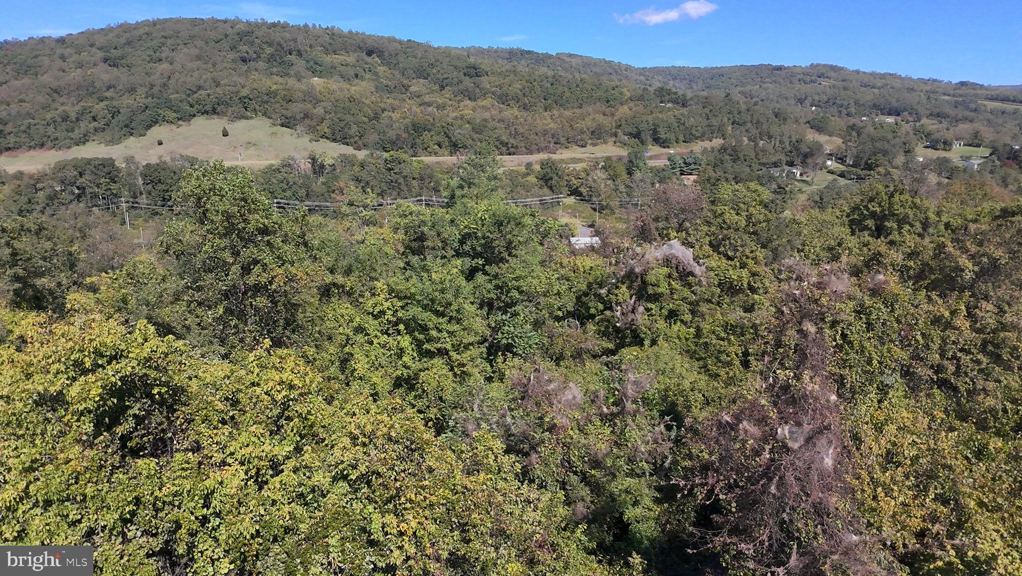 APPLE MT LAKE SOUTH - Land