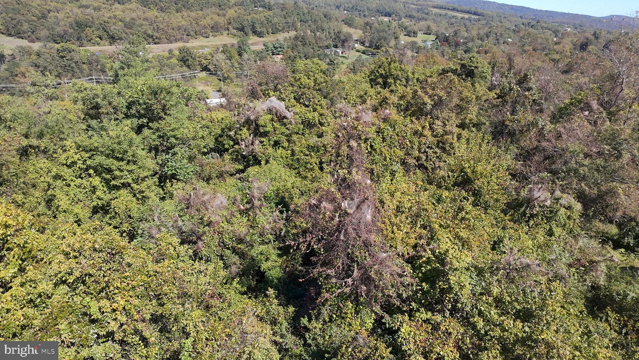 APPLE MT LAKE SOUTH - Land