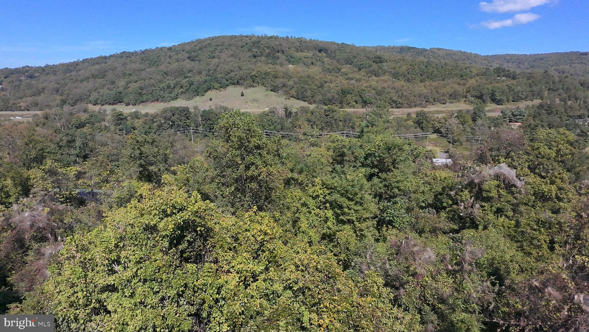 APPLE MT LAKE SOUTH - Land