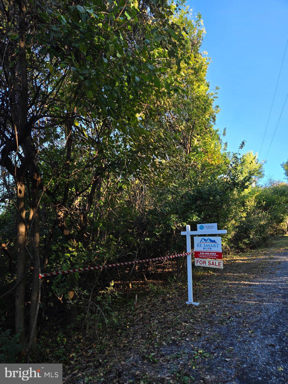 APPLE MT LAKE SOUTH - Land