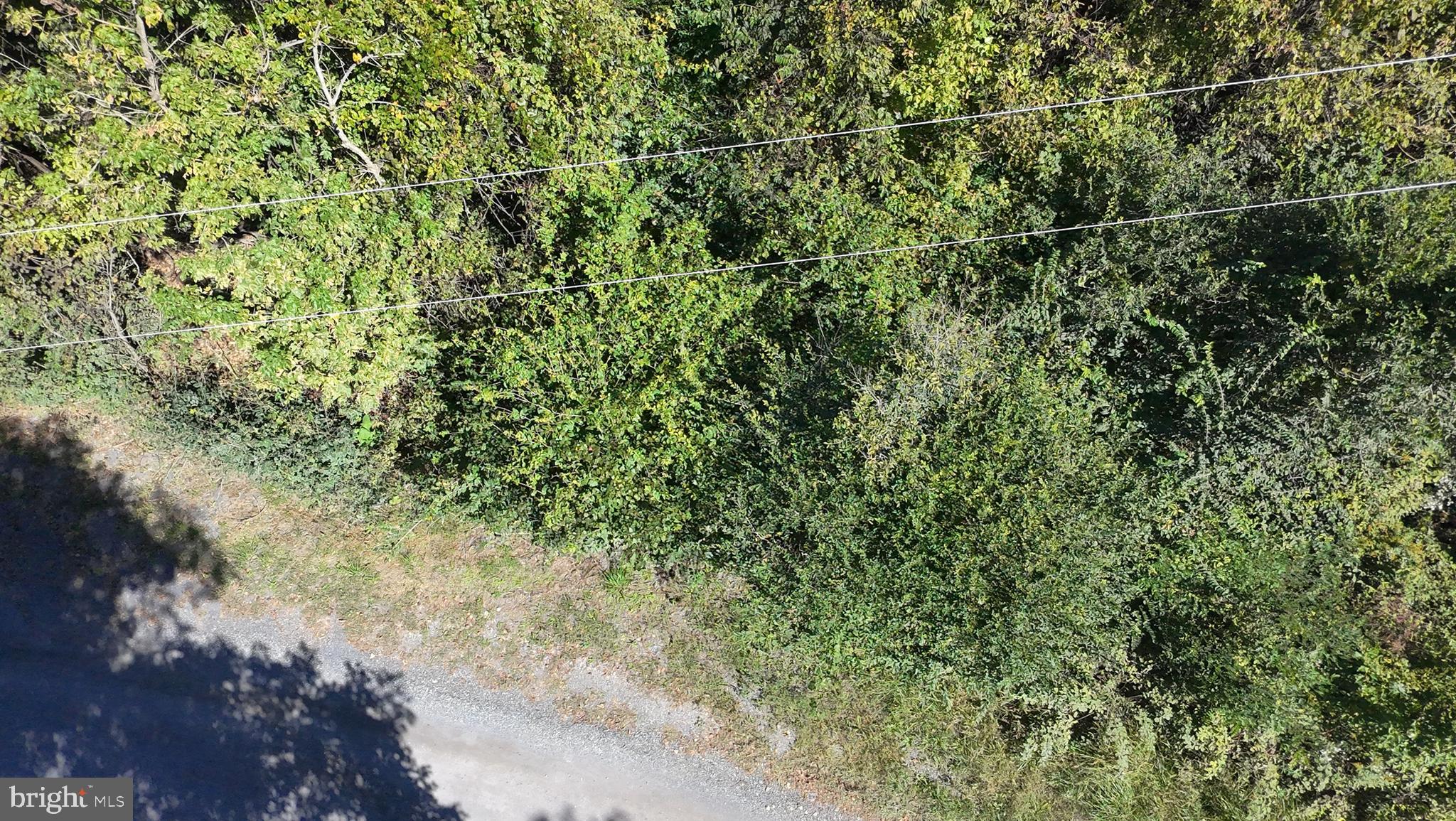 APPLE MT LAKE SOUTH - Land