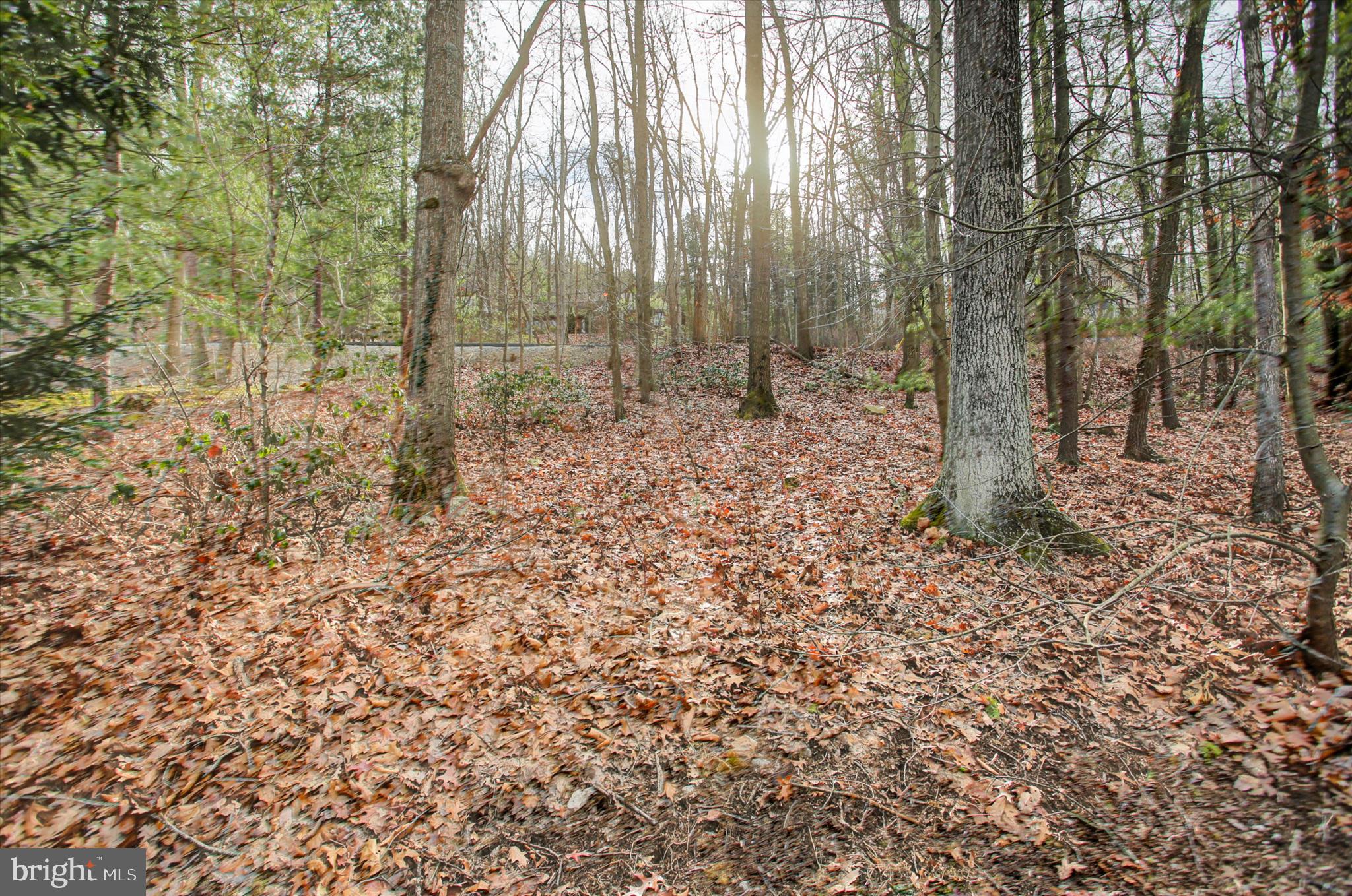 GREENE KNOLLS - Residential