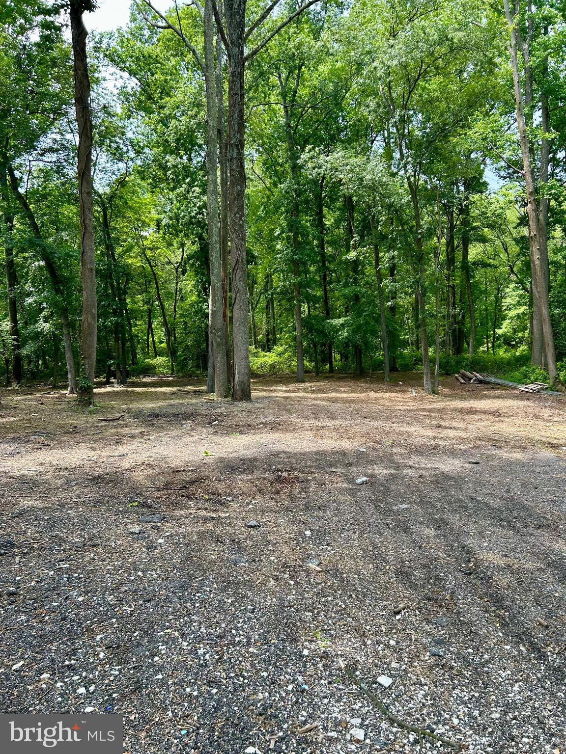 499 JONES ROAD