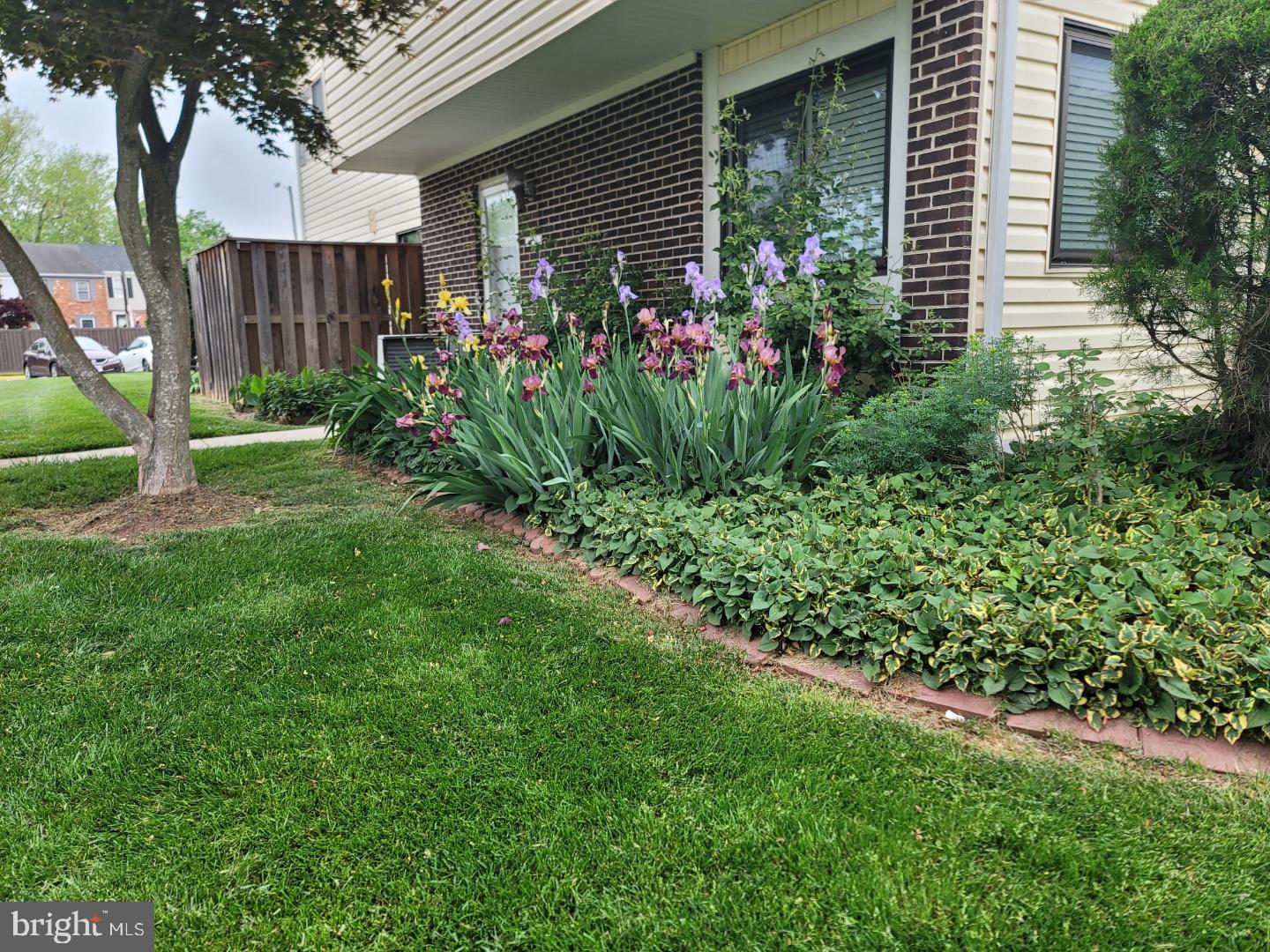 WILDWOOD CONDO - Residential