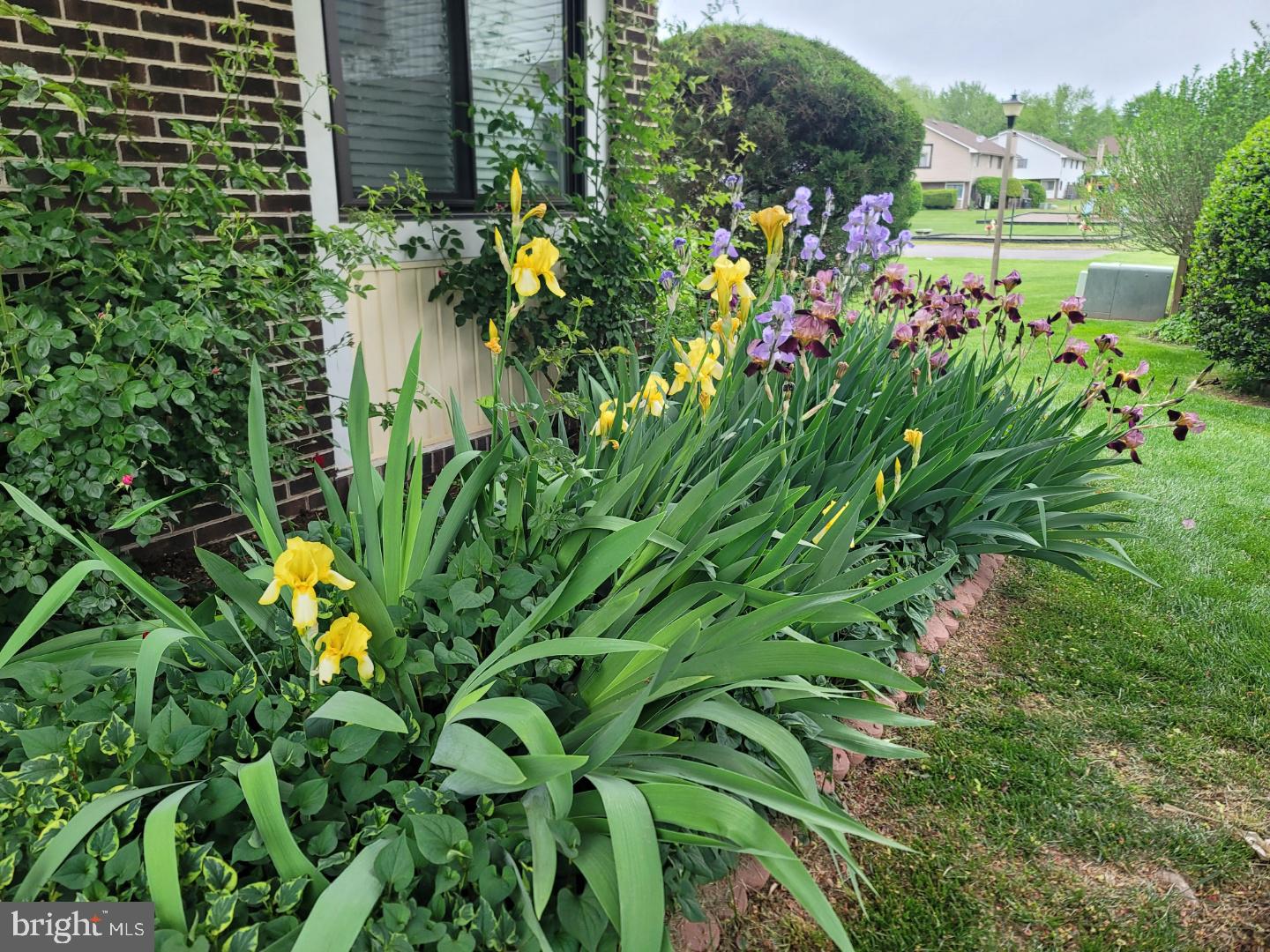 WILDWOOD CONDO - Residential