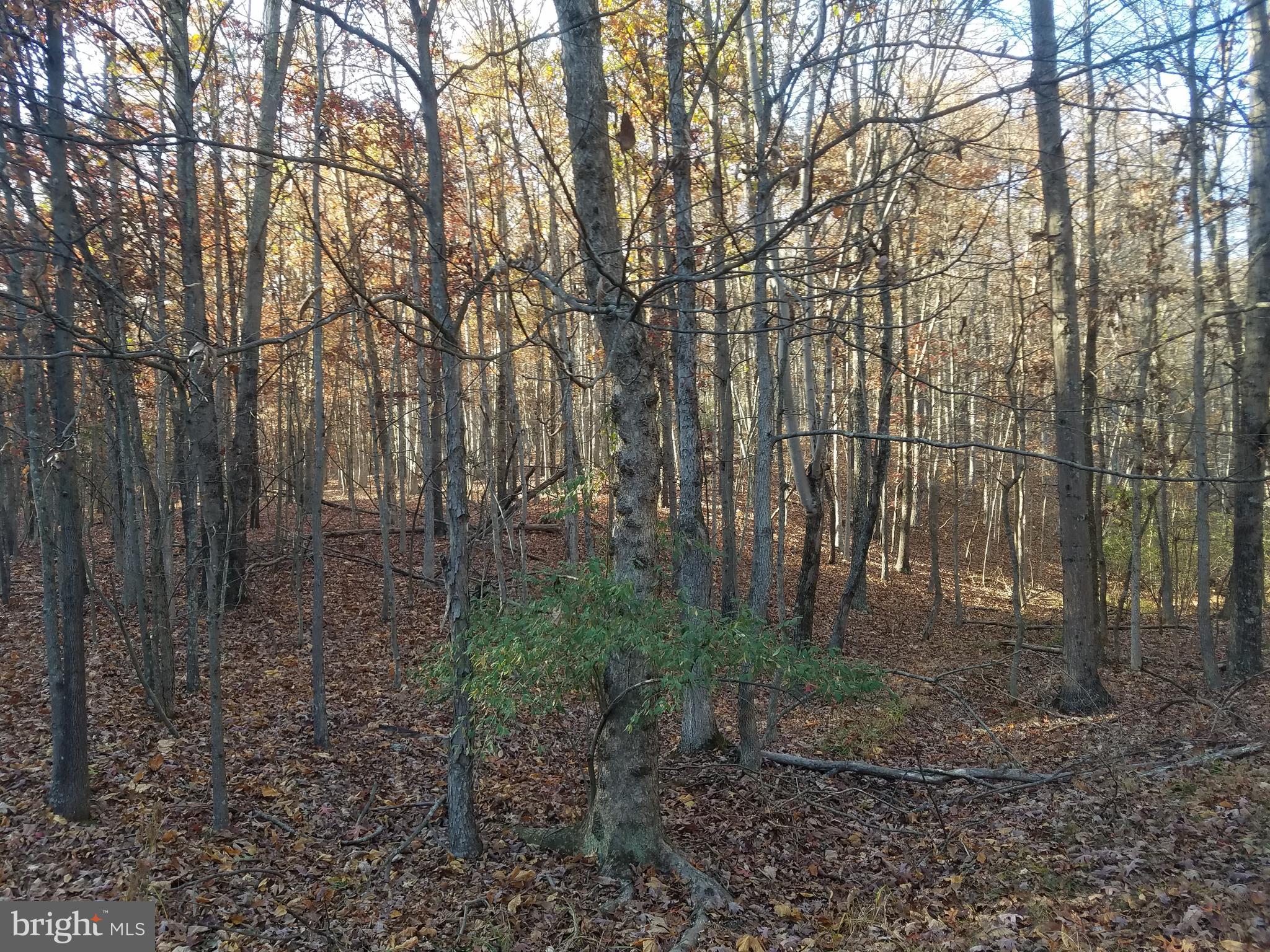 CRYSTAL VALLEY ESTATES - Land