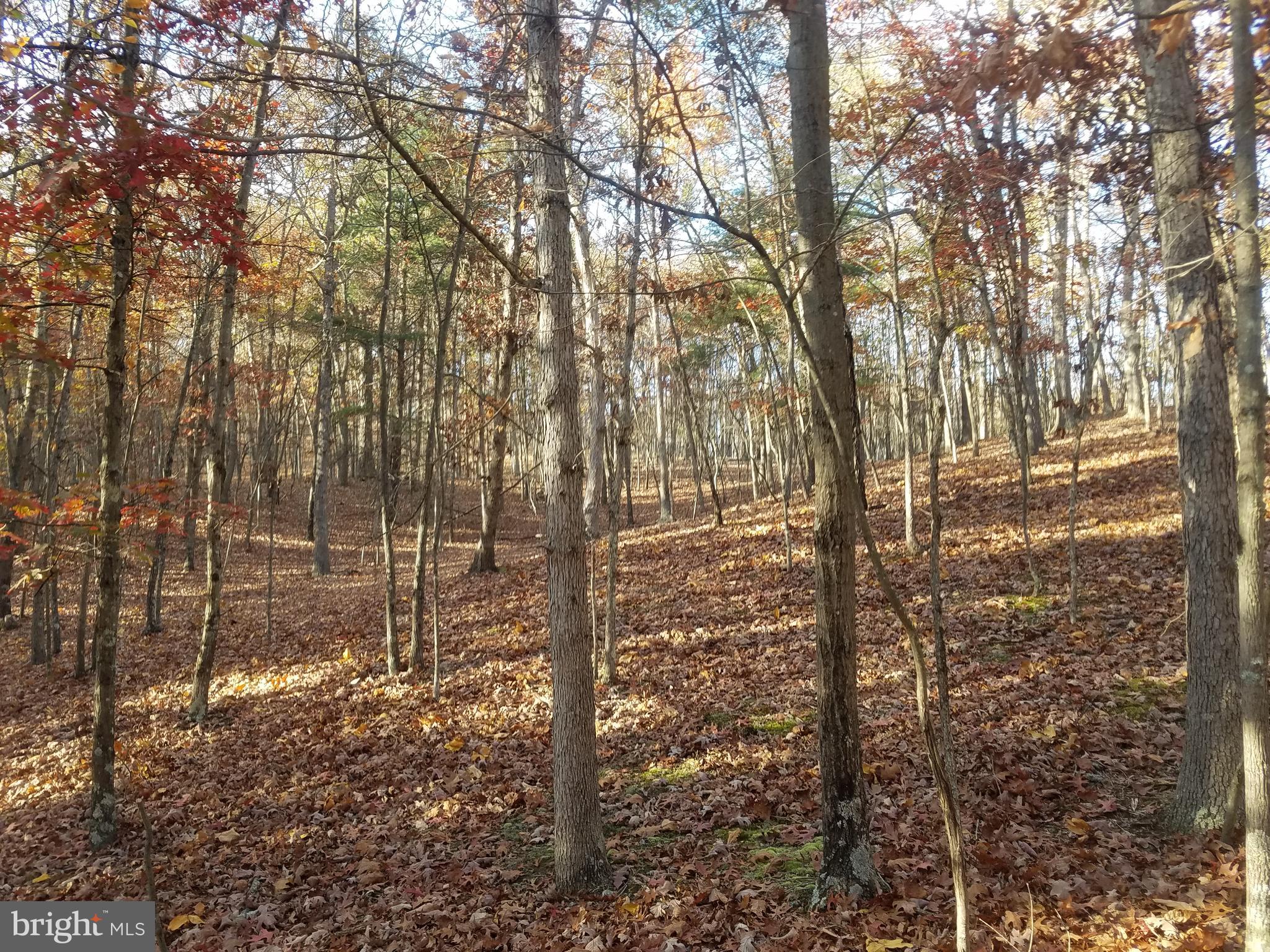 CRYSTAL VALLEY ESTATES - Land