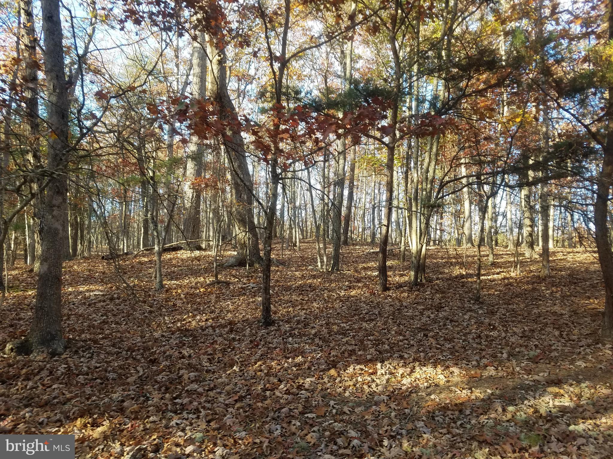 CRYSTAL VALLEY ESTATES - Land