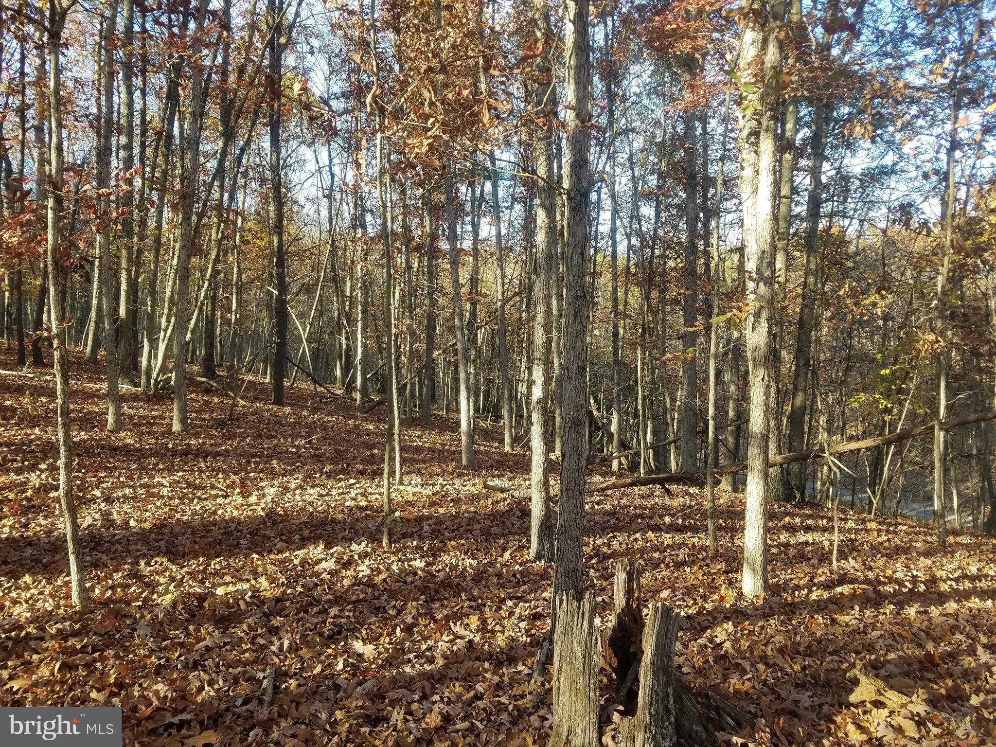 CRYSTAL VALLEY ESTATES - Land