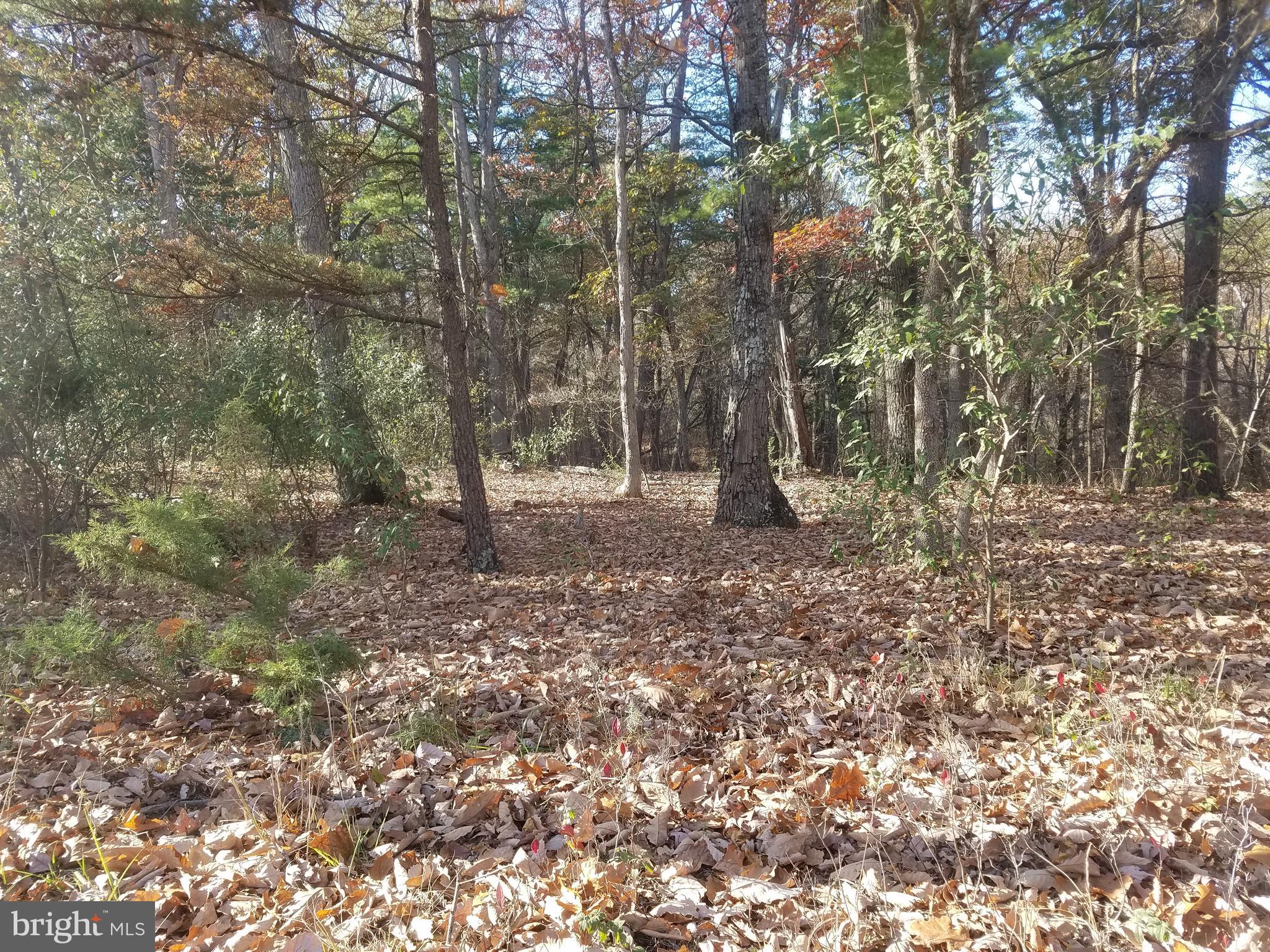BEAUTIFUL CRYSTAL VALLEY ESTATES! Rurally located in the heart of Hampshire Co. just four miles north of Romney. This "wild life refuge" and older development sits on the east side of what is locally known as Herriots Mountain. A mixture of sloping to gently rolling lots, all wooded with various potential build sites. Well maintained country roads throughout. Only minutes from public access to the South Branch River. Also nearby is Crystal Valley Ranch Restaurant (horse stables and riding trails)... Lot #52, 2.3 acres fronting Turkey Hollow Rd....Build that home or getaway cabin!!! Other lots available, see plats and lot list...