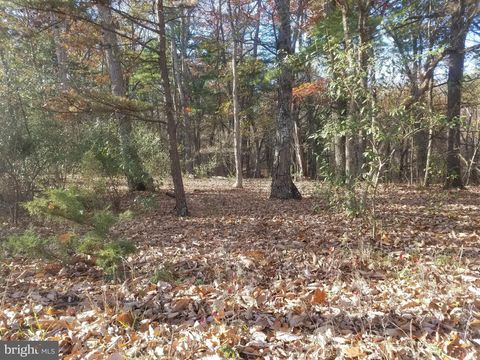 Vacant Land For Sale - Turkey Hollow Road<br/> ROMNEY, WV 26757