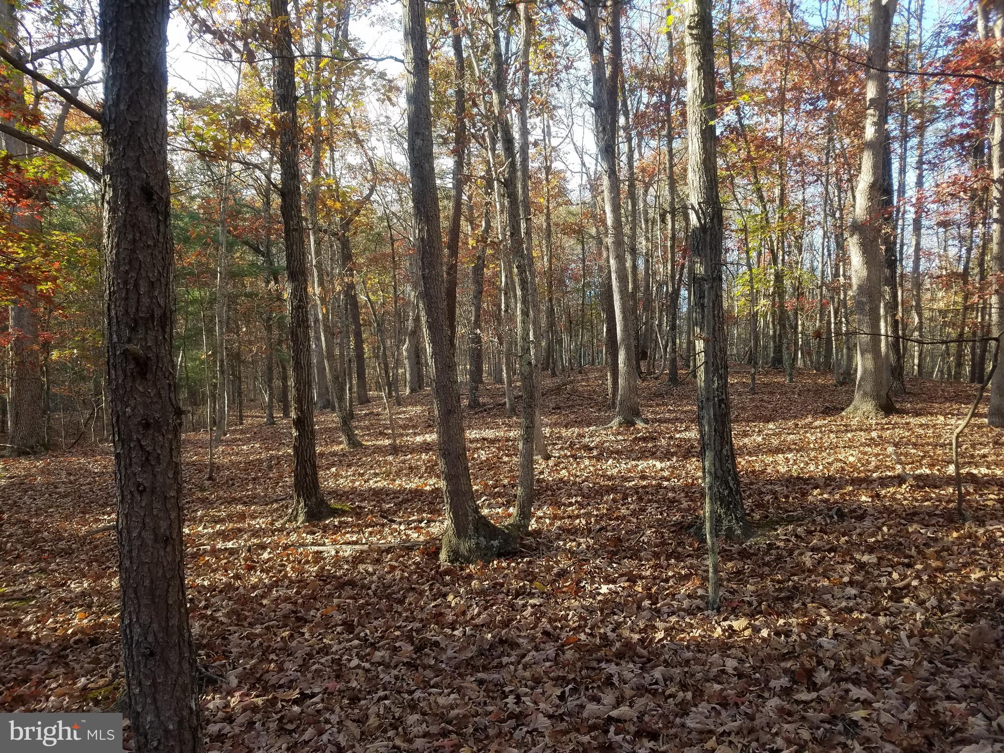 CRYSTAL VALLEY ESTATES - Land