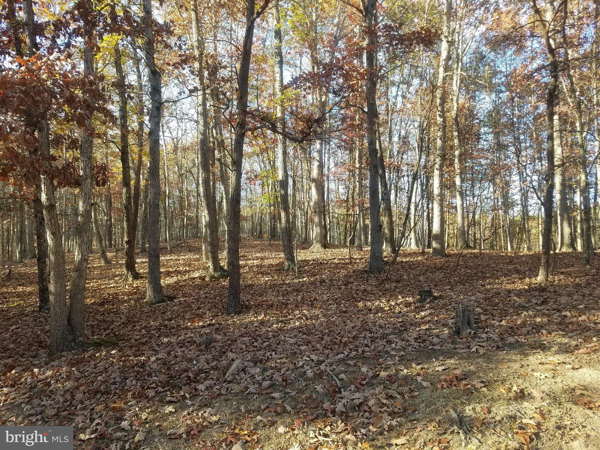 CRYSTAL VALLEY ESTATES - Land