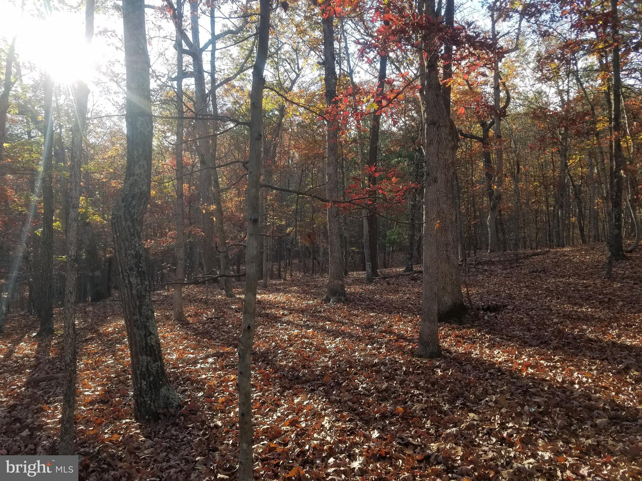 CRYSTAL VALLEY ESTATES - Land