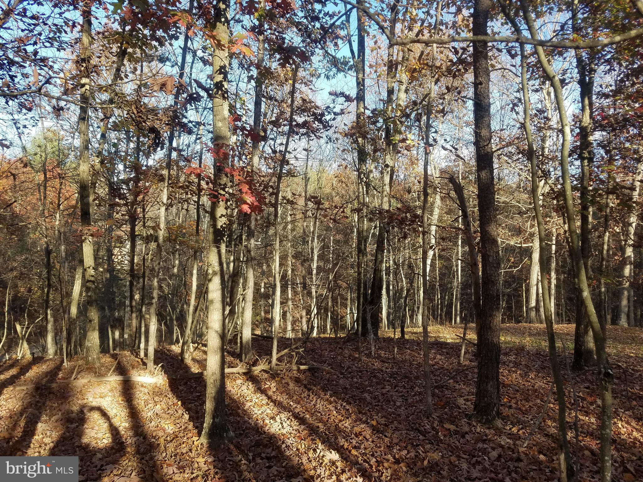 CRYSTAL VALLEY ESTATES - Land