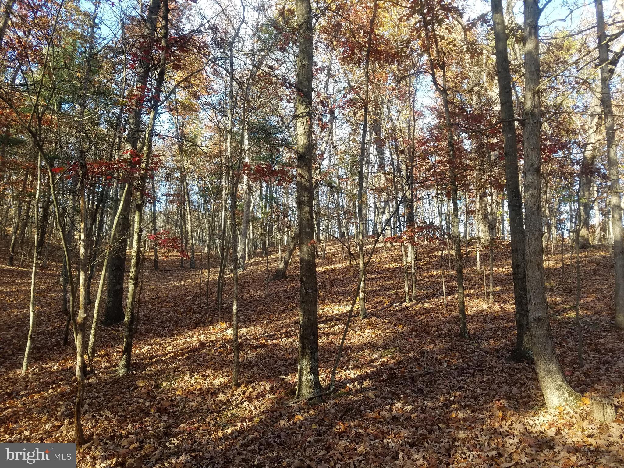 CRYSTAL VALLEY ESTATES - Land