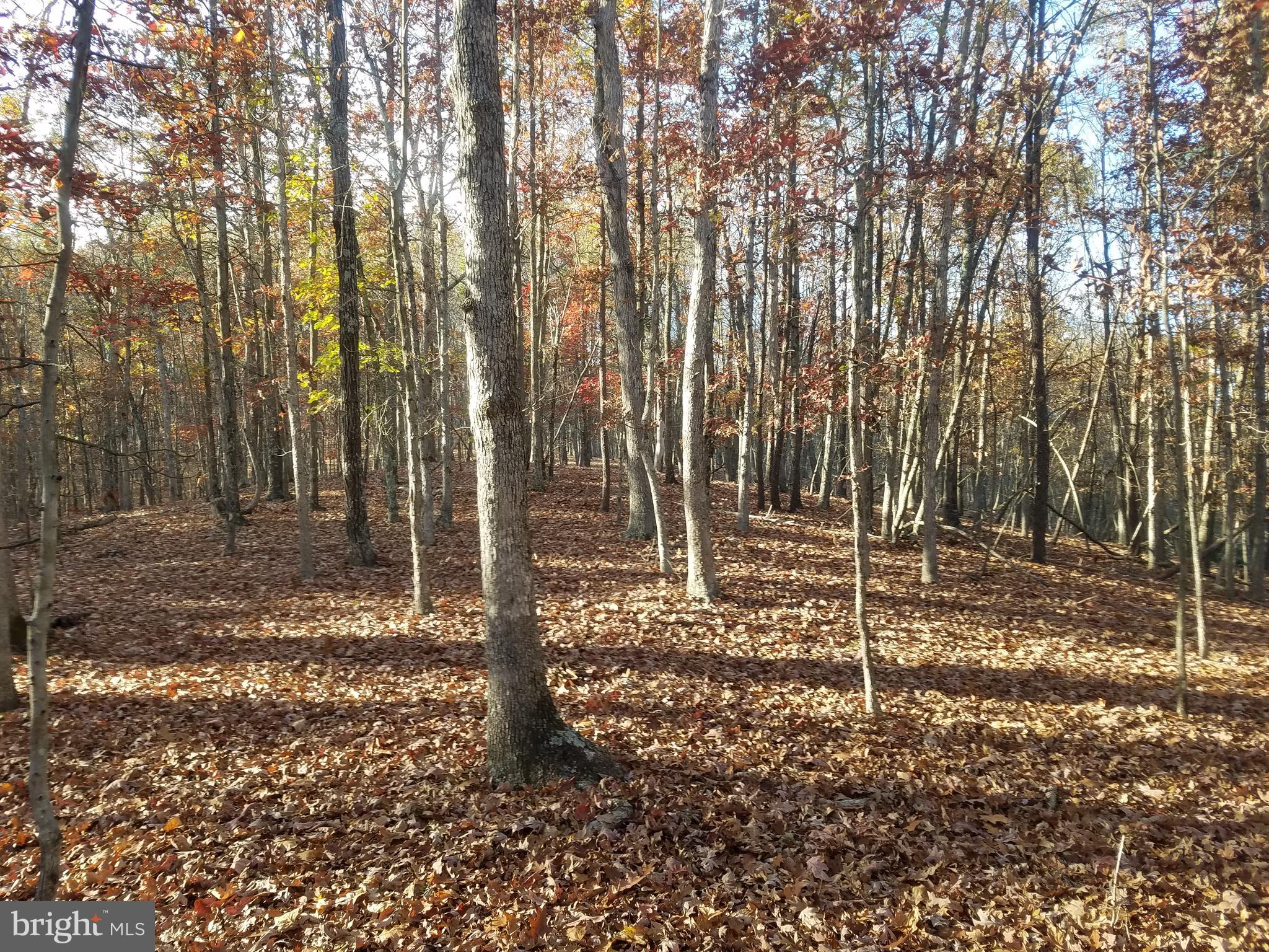 CRYSTAL VALLEY ESTATES - Land