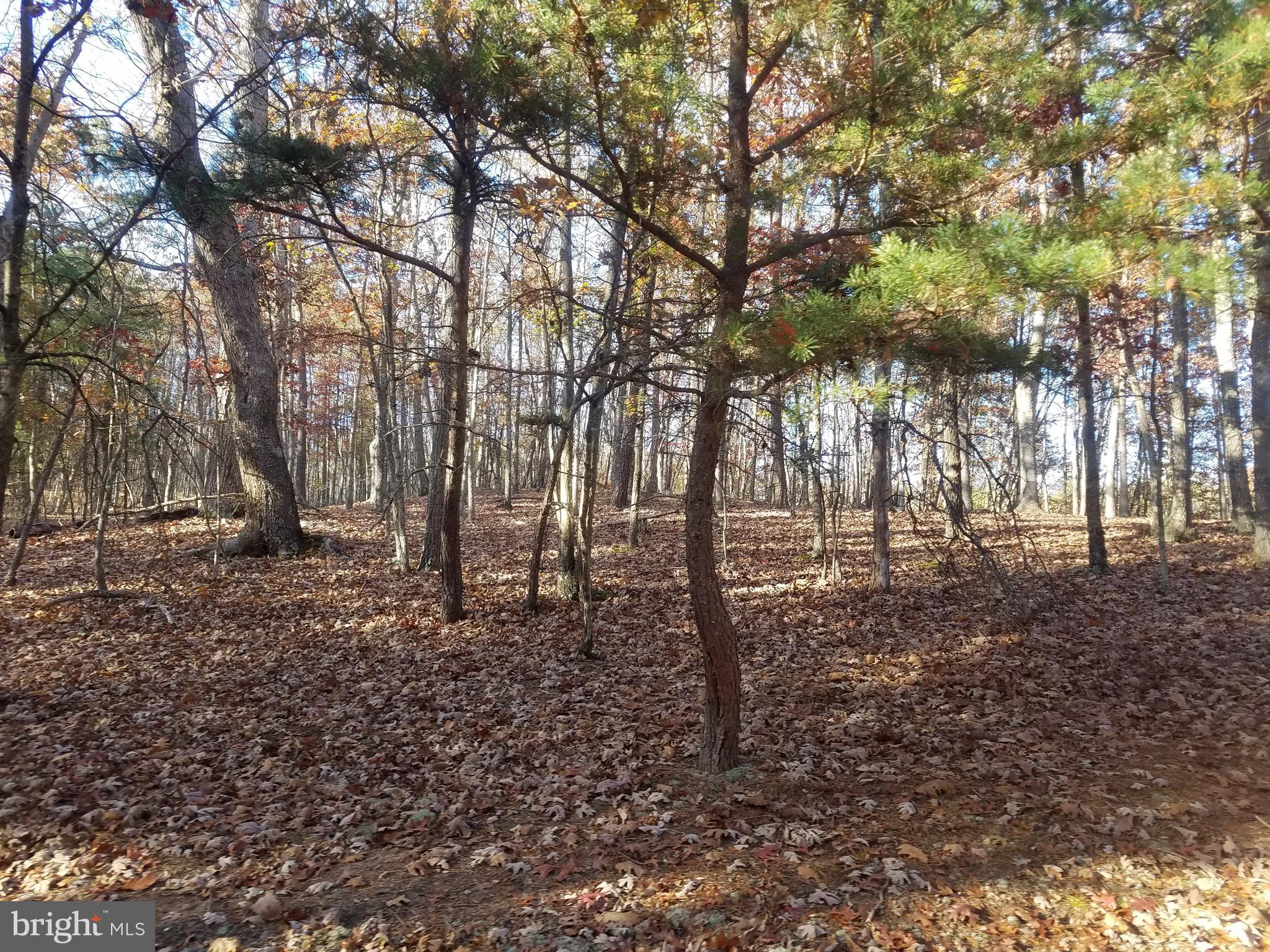 CRYSTAL VALLEY ESTATES - Land