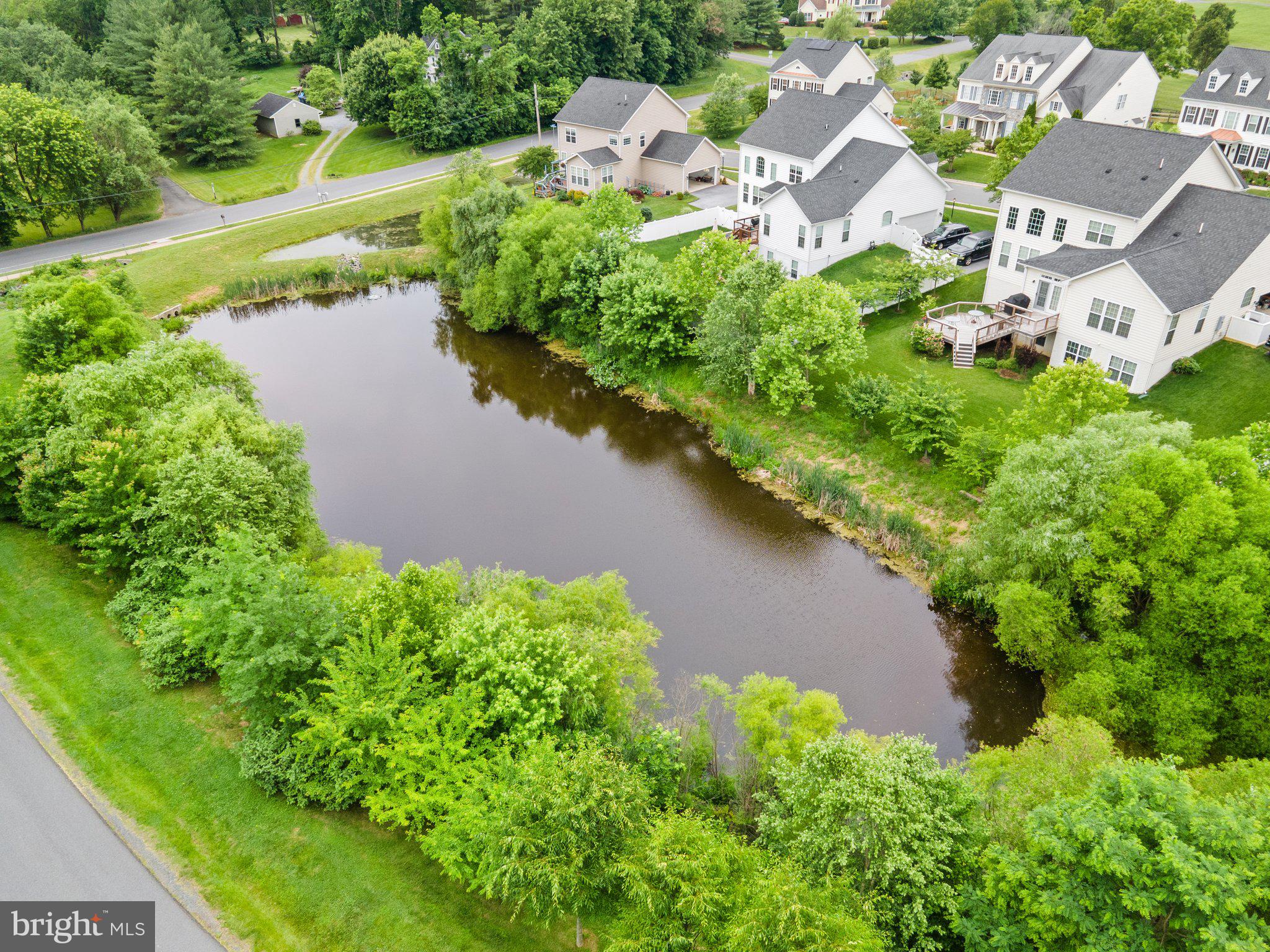 FRANCIS - Residential