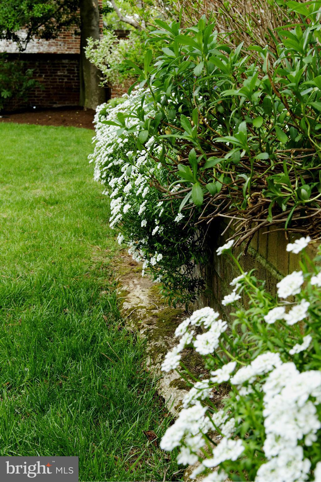 OLD TOWN - Residential