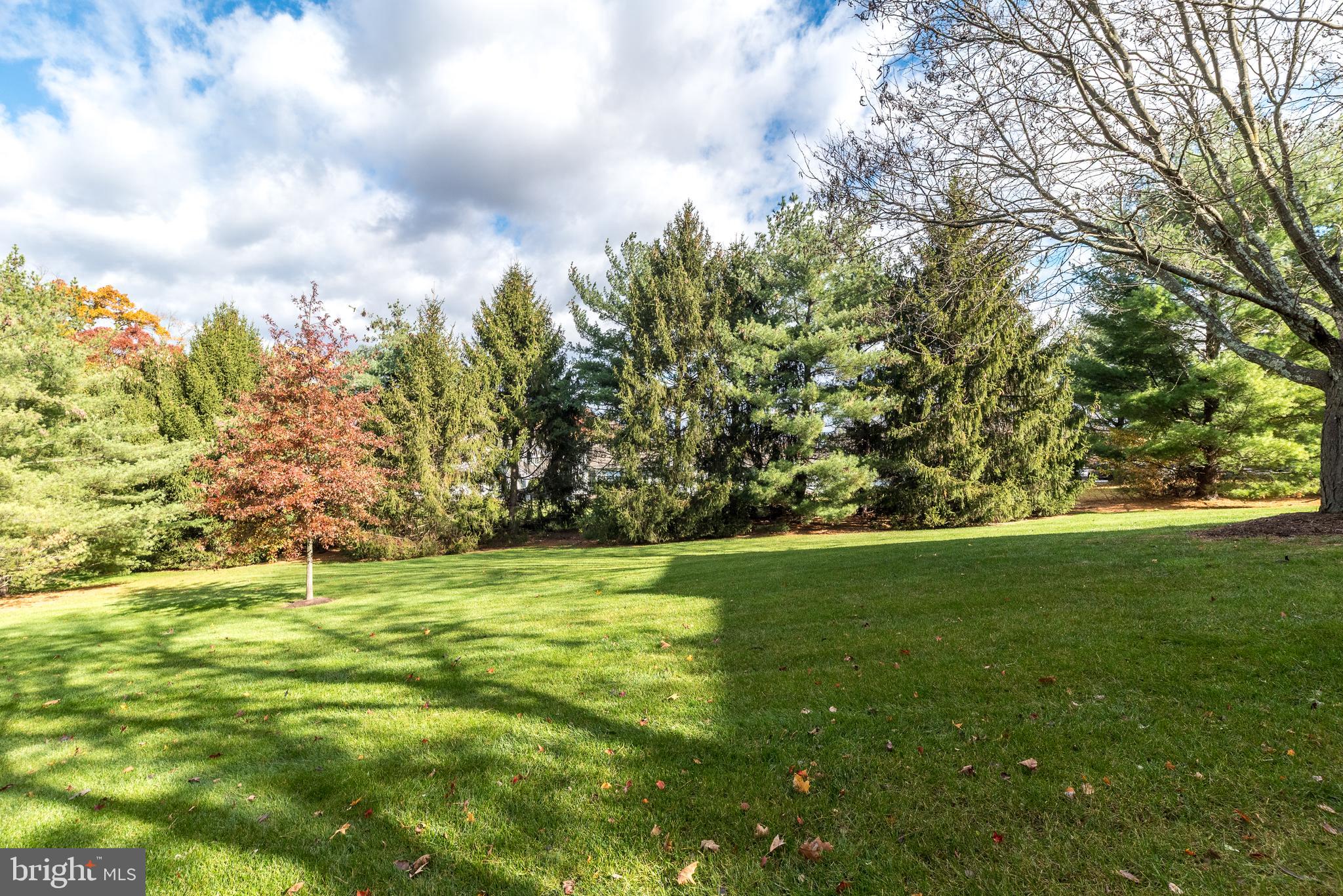 CHARING CROSS - Residential
