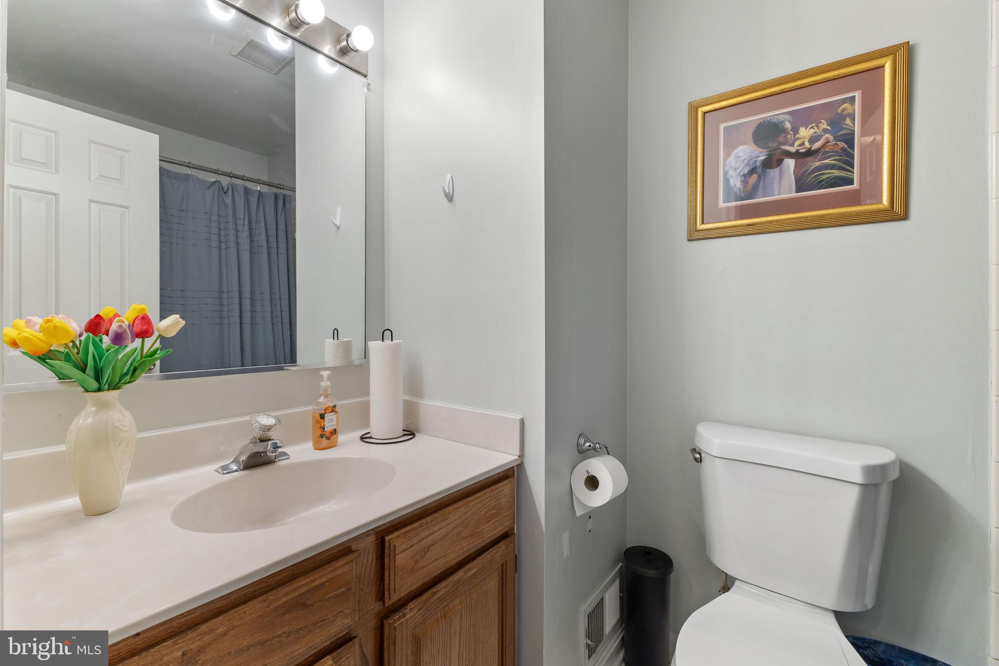 GUNNERS LAKE VILLAGE - Residential