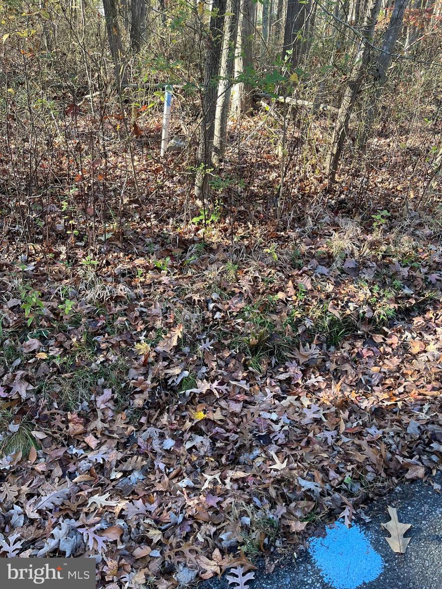 9.97 acres zoned RC20 in Essex. Rare gem in close in, sought after Essex. Property is accessible via a right of way Purchaser is solely responsible for doing the due diligence and determining suitability for intended usage.